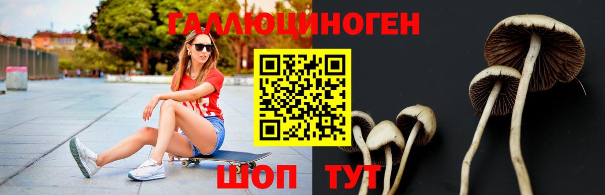 Псилоцибиновые грибы Magic Shrooms  Псилоцибиновые грибы мухоморы  Вход с VPN  Карталы 